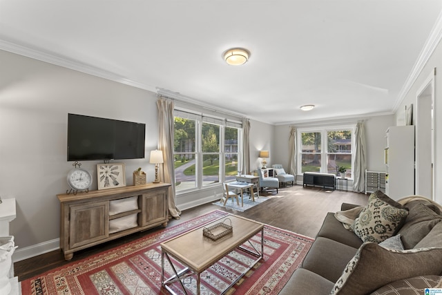 2825 Cahawba Trl, Birmingham, AL 35243 - living area featuring crown molding, baseboards, and wood finished floors