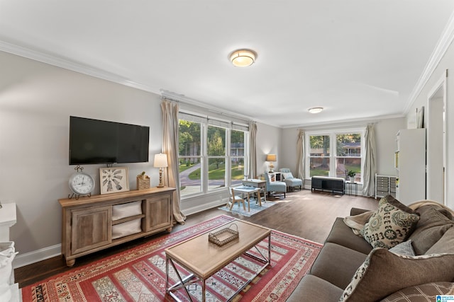 living room with ornamental molding and dark wood-type flooring