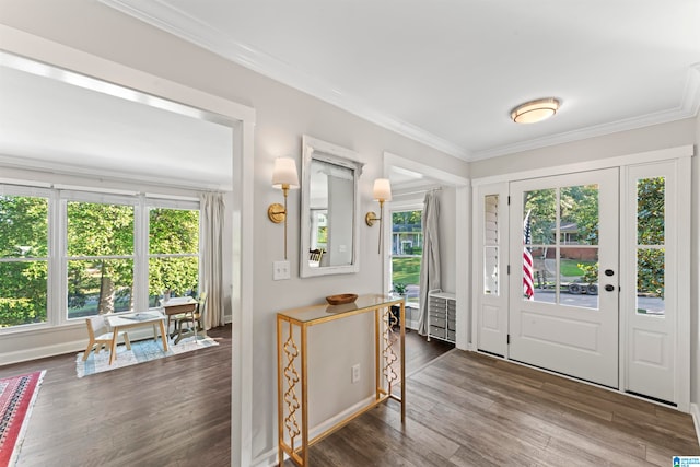 foyer entrance featuring ornamental molding and dark hardwood / wood-style floors