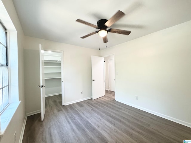 unfurnished bedroom featuring dark hardwood / wood-style floors, ceiling fan, a walk in closet, and multiple windows