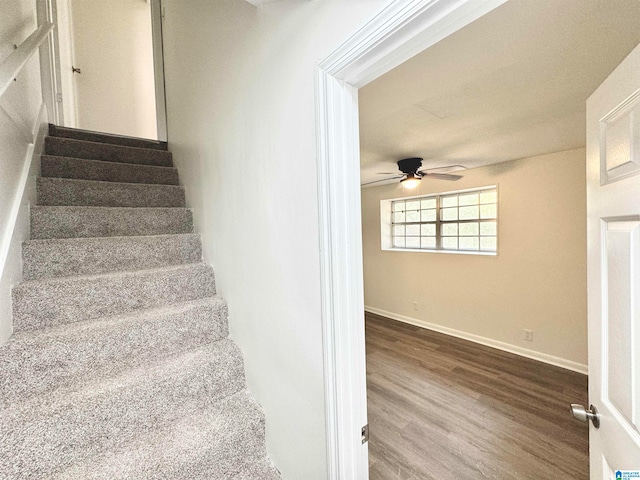 stairway with ceiling fan and wood-type flooring