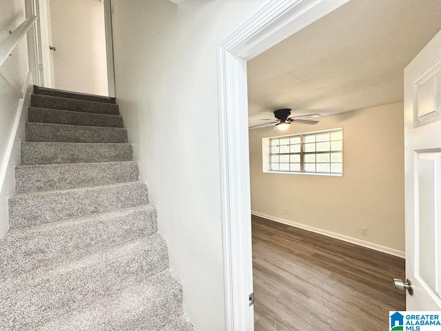 staircase featuring ceiling fan and hardwood / wood-style floors