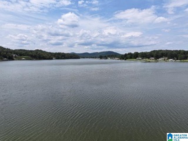 view of water feature