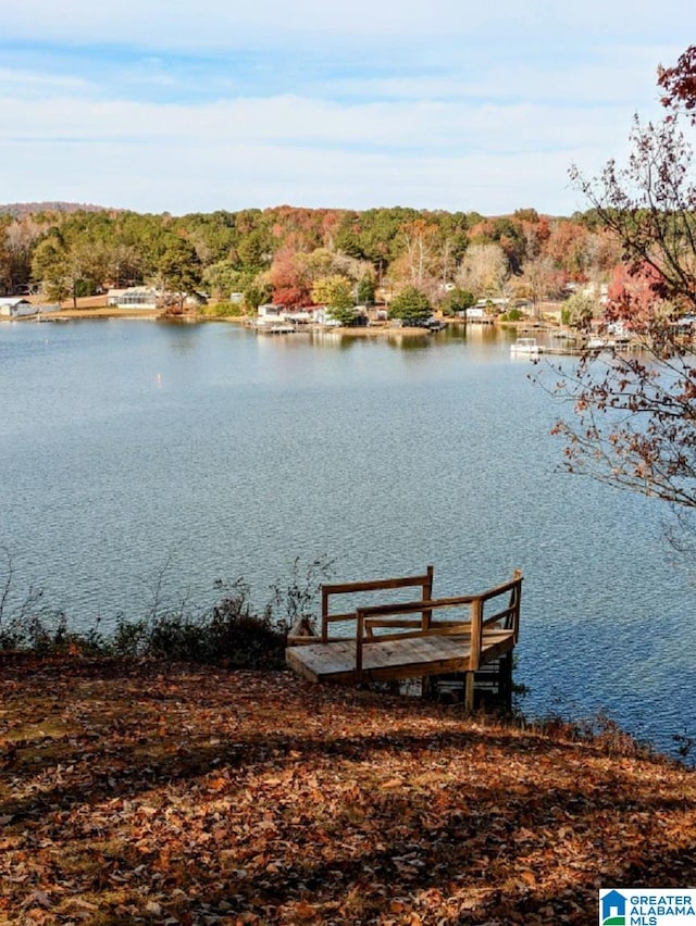 view of dock with a water view