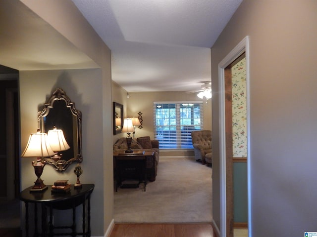 hall featuring wood-type flooring