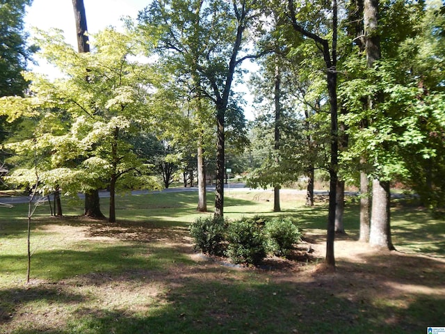 view of home's community with a yard