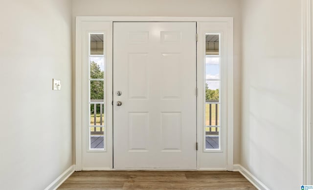 entryway featuring hardwood / wood-style floors