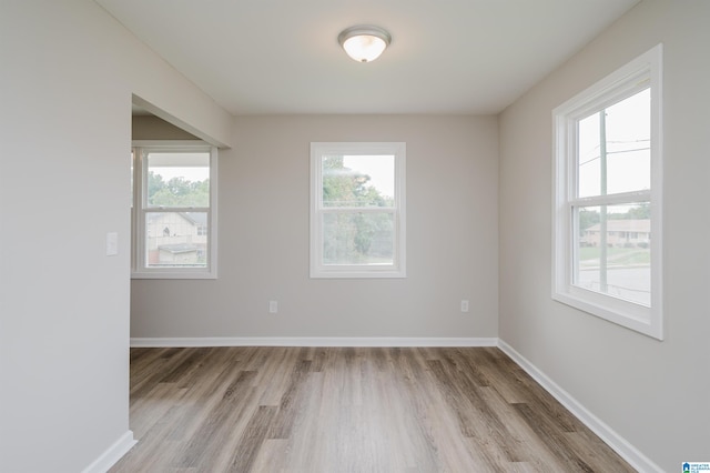 spare room featuring light wood-type flooring and plenty of natural light