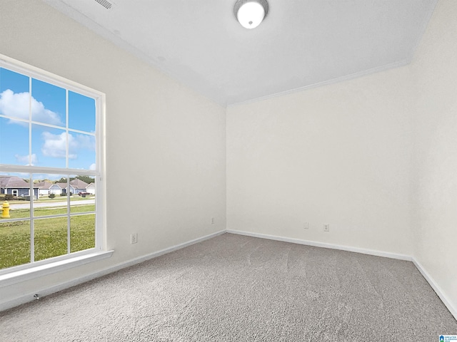 spare room featuring carpet, plenty of natural light, and crown molding