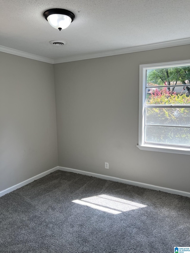 empty room with carpet floors, a textured ceiling, and ornamental molding