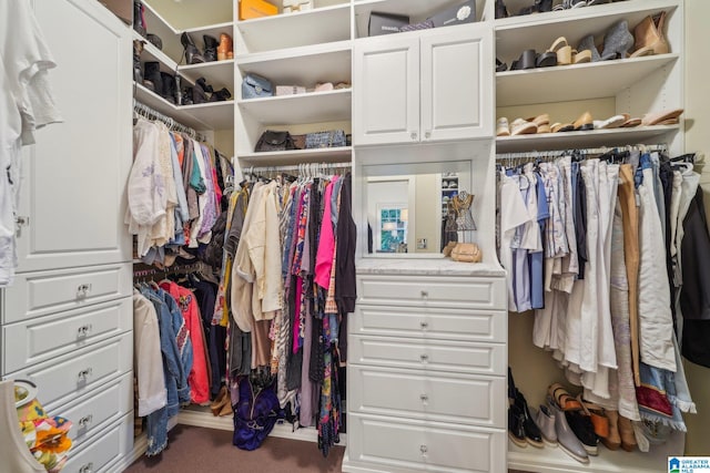 walk in closet with carpet flooring