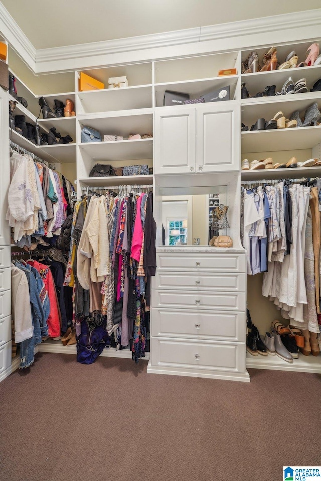 walk in closet with carpet