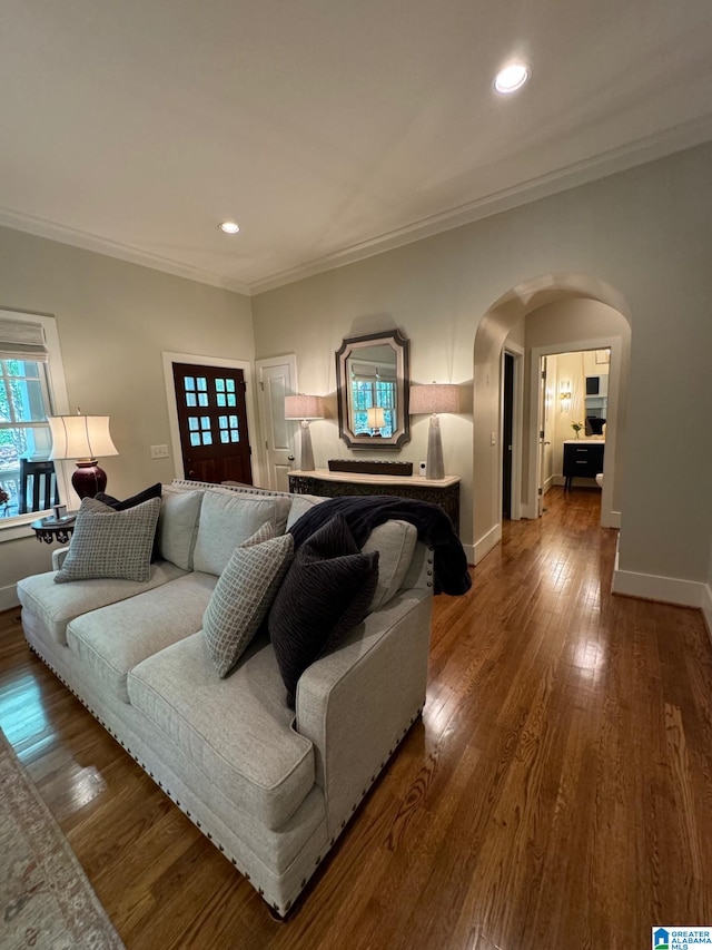 living room with crown molding and wood-type flooring