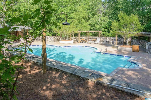 view of pool featuring a patio area