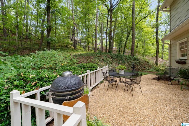 view of yard with a patio area