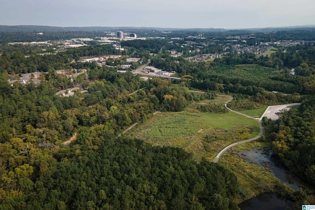 bird's eye view