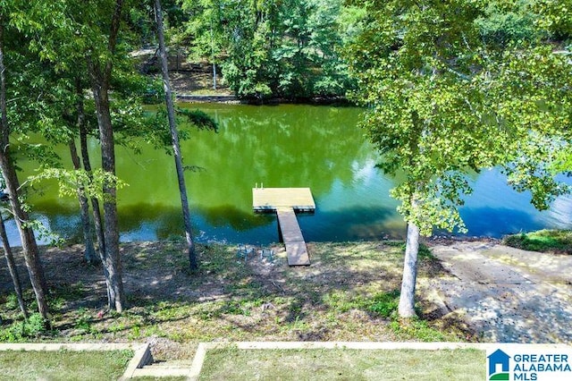 property view of water featuring a floating dock