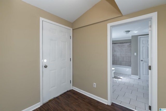 entryway featuring lofted ceiling and dark wood-type flooring