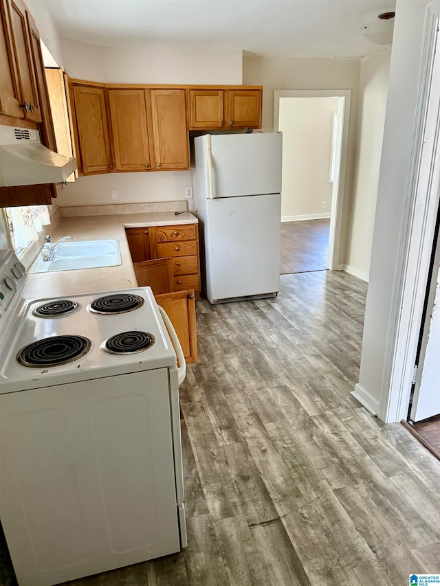 kitchen with light wood-type flooring, white appliances, sink, and extractor fan