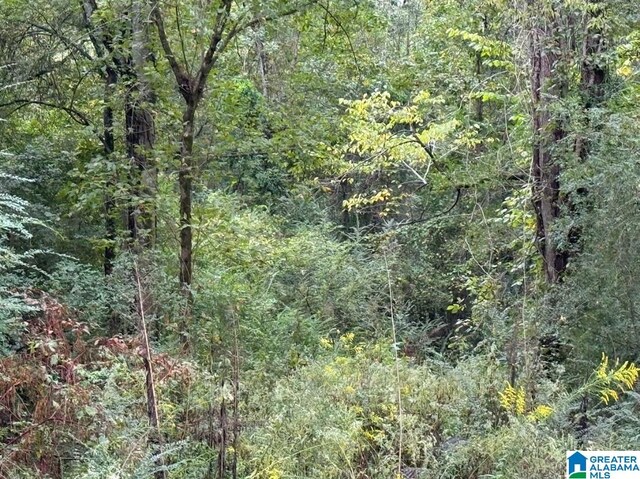 1807 Pelham St Unit 0, Anniston, AL 36201