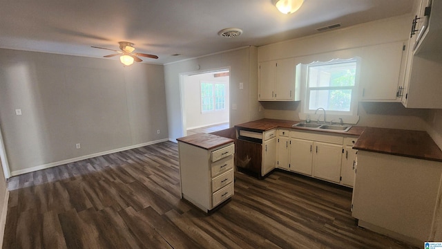 kitchen with white cabinets, ceiling fan, dark wood-type flooring, and sink