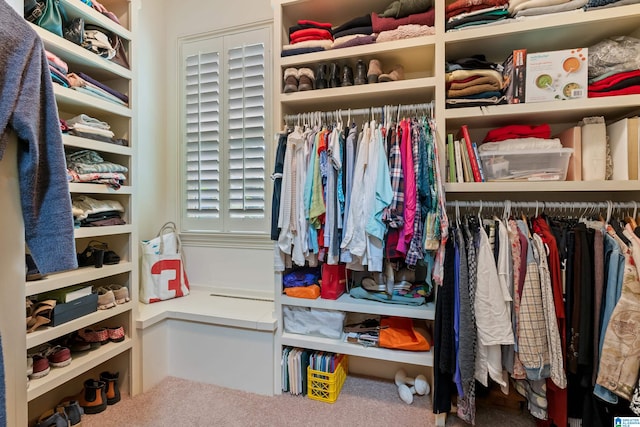 walk in closet with carpet