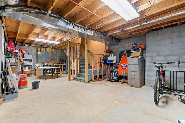 basement with electric panel