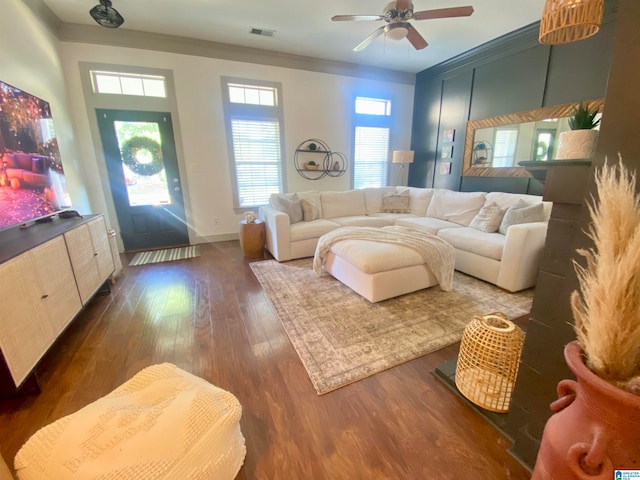 living room with ceiling fan, dark hardwood / wood-style flooring, and ornamental molding