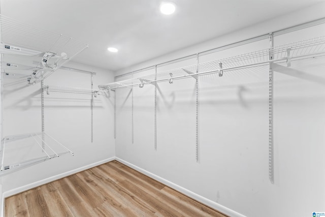 spacious closet with hardwood / wood-style flooring