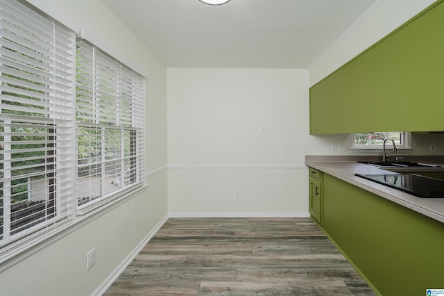 kitchen featuring green cabinetry, black electric cooktop, sink, and light wood-type flooring