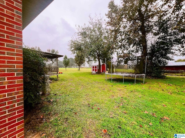 view of yard featuring a trampoline and a shed