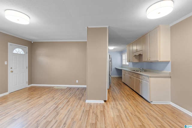 kitchen featuring light wood-type flooring, crown molding, and sink