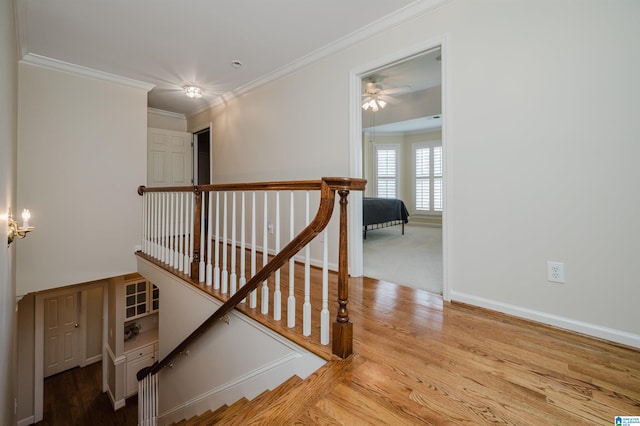 staircase with ornamental molding and hardwood / wood-style floors