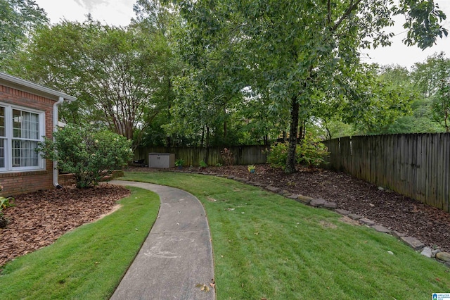 view of yard with a shed