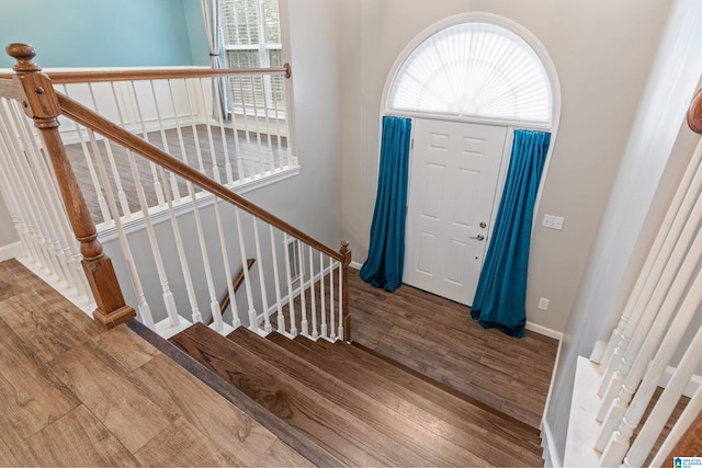 foyer entrance featuring wood-type flooring