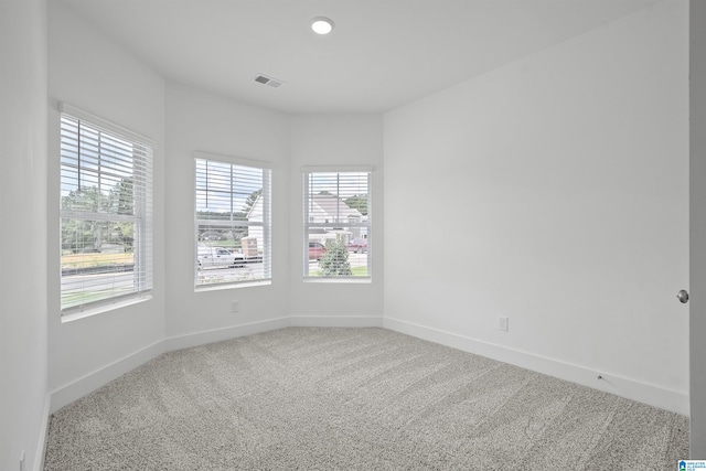 carpeted empty room featuring a healthy amount of sunlight