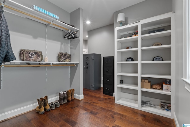 spacious closet featuring dark wood-type flooring