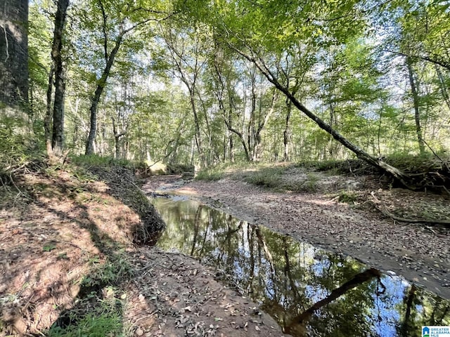 view of local wilderness