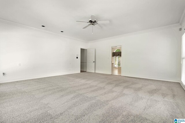 empty room featuring ceiling fan, carpet flooring, and crown molding