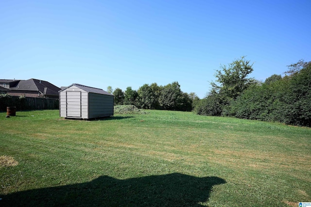 view of yard featuring a storage shed