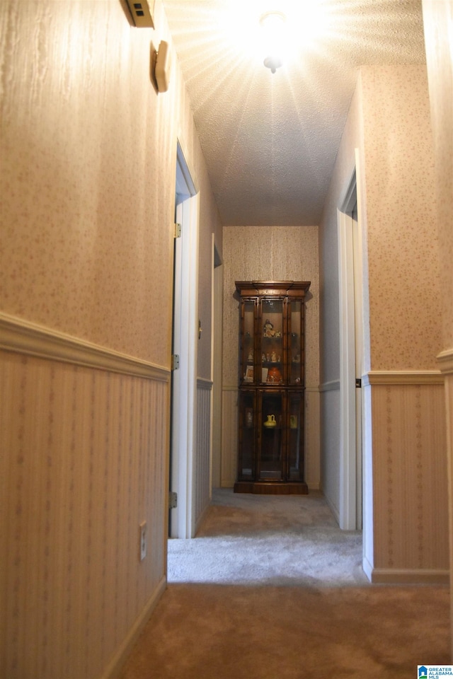 corridor featuring carpet floors, a textured ceiling, and wood walls