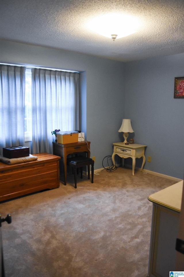 interior space featuring a textured ceiling and carpet