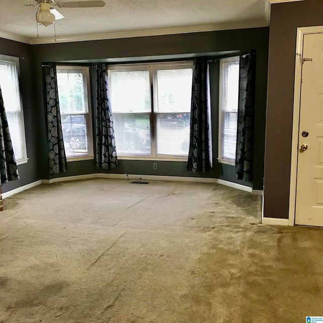 spare room featuring ceiling fan, carpet floors, crown molding, and a textured ceiling