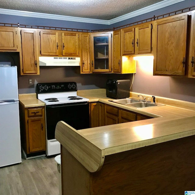 kitchen featuring sink, white appliances, a textured ceiling, crown molding, and light hardwood / wood-style floors