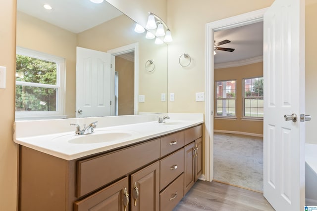 bathroom with vanity, ornamental molding, hardwood / wood-style flooring, and a healthy amount of sunlight