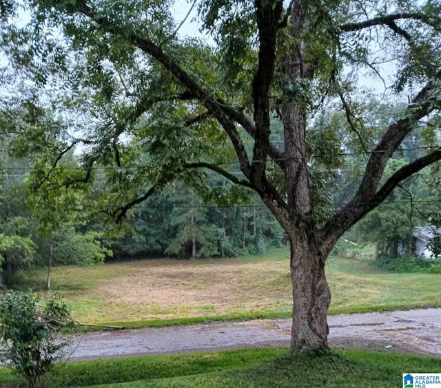 334 Ashland Ave, Wadley, AL 36276 - view of yard