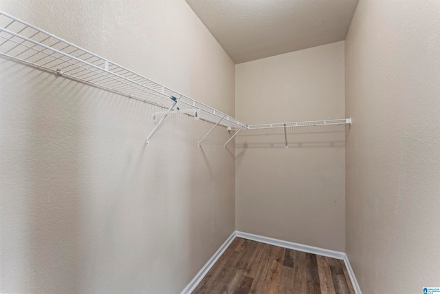 spacious closet with dark hardwood / wood-style floors