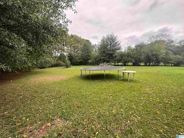 view of yard featuring a trampoline