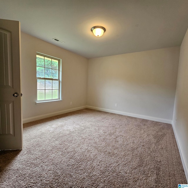 spare room with carpet