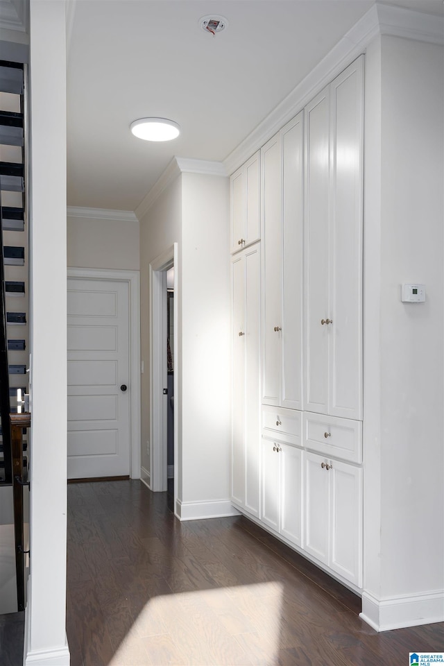 corridor with crown molding and dark wood-type flooring